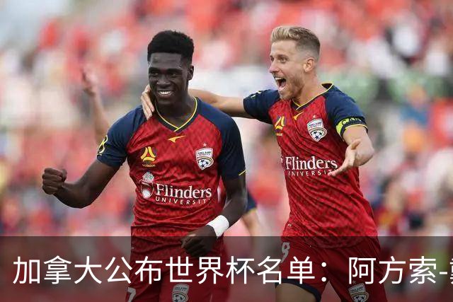 加拿大公布世界杯名单：阿方索-戴维斯入选 戴维在列