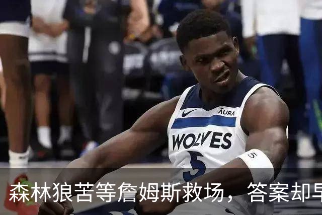 森林狼苦等詹姆斯救场，答案却早已身披5号