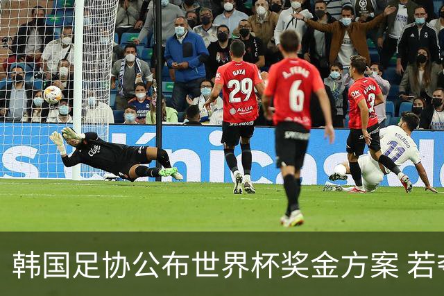 韩国足协公布世界杯奖金方案 若夺冠每人奖金超10亿韩元